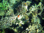

IMG_1897