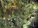 

IMG_1898