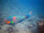 


IMG_1940a