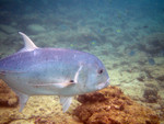 


IMG_1947a