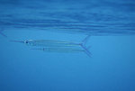 

IMG_1958