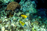 IMG_2769