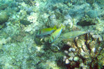 IMG_2795