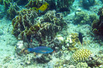 IMG_2815
