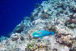 IMG_2819