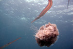 IMG_3306 copy