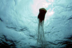 IMG_3322 copy