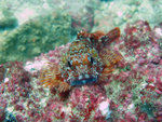 IMG_1287
