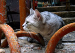 Photo by ~X~ in Central