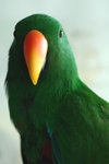谥J