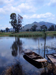 
NanSunWai