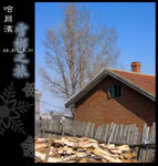 �ѫ����ب���Ťڤh�����~���ҩ�, �u�O�H�N�]���X���� 