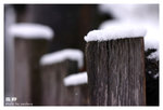 ���F���U�l�����