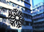 
Snow in Summer