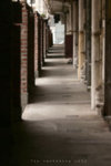 20060618-6