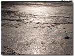 20070506_107