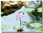 20081004_001