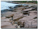 20081018_210