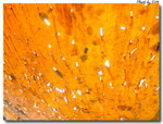 20090516_127