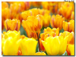20100322_005