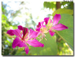 20110208_004