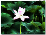 20110612_008