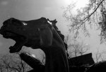 ������С bw02