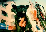 s-lomodog01