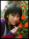 
JOYCE-1