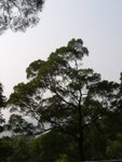 P1010445
