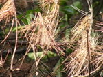 P1010448