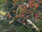 P1010465