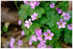 DSCF9244