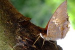 DSCF9659