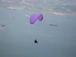 2103376-IMG_1209-embed