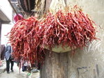 Chillies drying