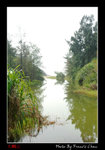 DSC_7340