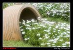 DAC_7929