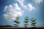 2k50609_015a