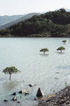 2k60307_001a