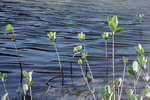 2k60307_005a
