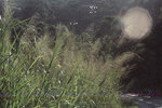 2k60307_006a