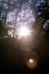 2k60307_009a