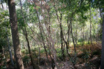 2k40123_022a