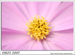 018