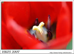 025