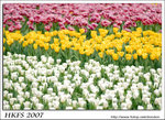 027