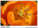 029