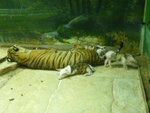 Thailand 2007_31
