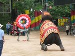 Thailand 2007_36